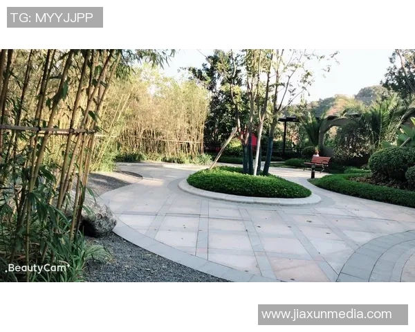 恒大足球明星的居住地揭秘及生活方式探讨